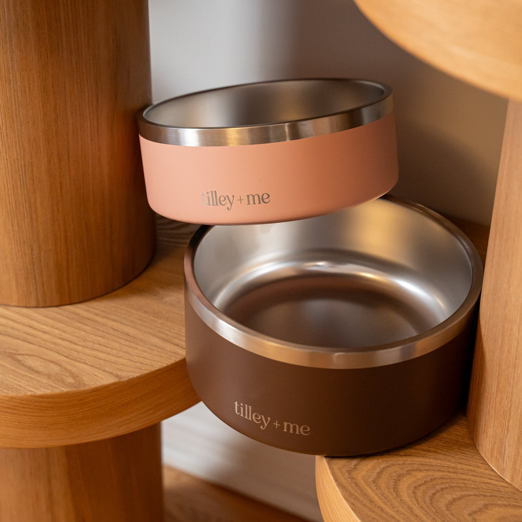 Tilley + Me Stainless Steel Pet Bowl – Non-Slip, Durable & Dishwasher Safe | 32oz and 64oz
