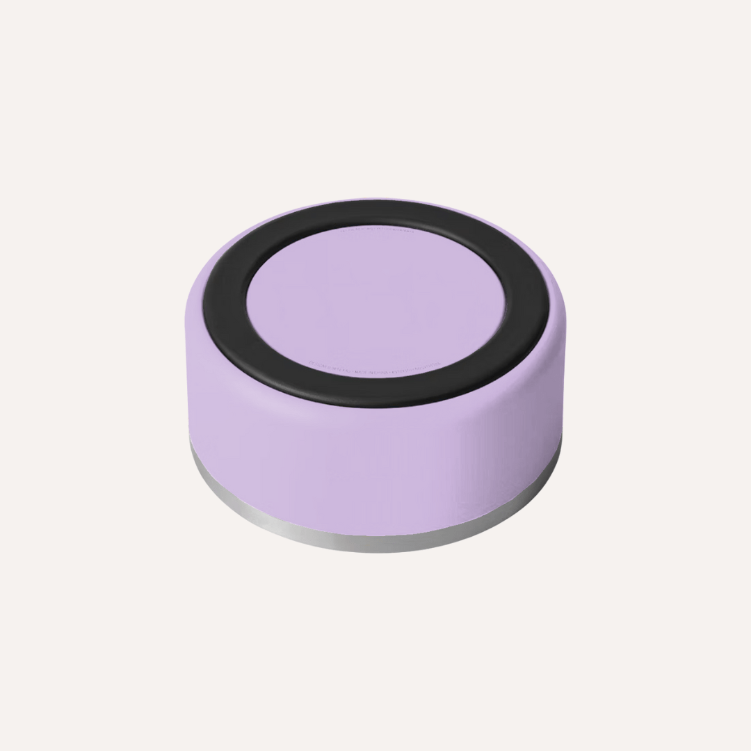 Tilley + Me Stainless Steel Pet Bowl – Non-Slip, Durable & Dishwasher Safe | 32oz and 64oz